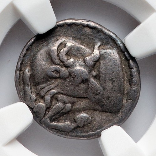Macedonia toro acanto e - di,