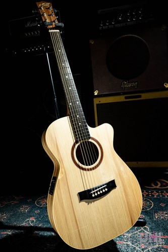Maton performer - maton,