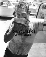 FOTO COOL HARD GUY STEVE