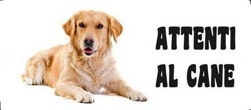 Adesivo attenti cane - adesivo,