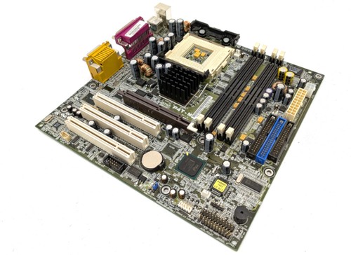 Scheda madre asus - scheda,