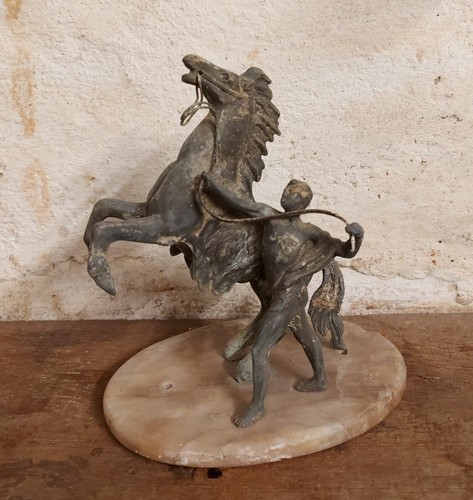 Cavallo imbizzarrito - cavallo, e