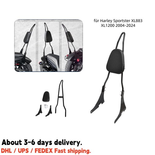 Schienale sissy bar passeggero - schienale,