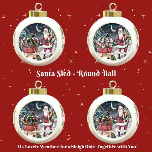 Babbo natale slitta cani gatti - natale,