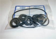 KIT TENUTE ACQUA OLIO POMPA