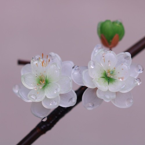 Forcina per capelli fiori