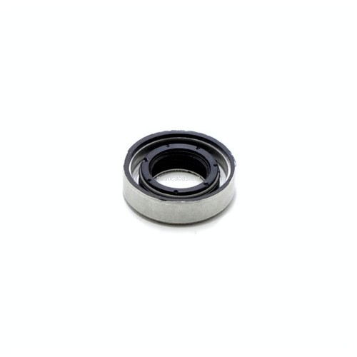 Paraolio piede evinrude - paraolio,