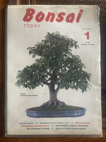 Bonsai today magazine may - bonsai,
