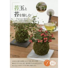 Enjoying Kokedama Moss