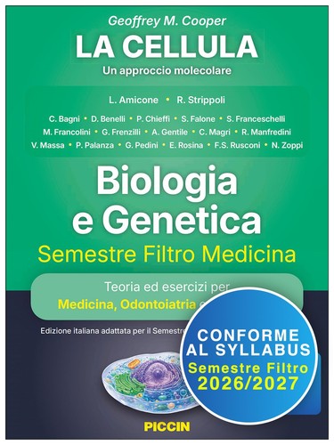 Libro nuovo copertina - libro,