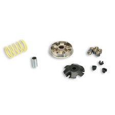 Variatore Malossi MULTIVAR