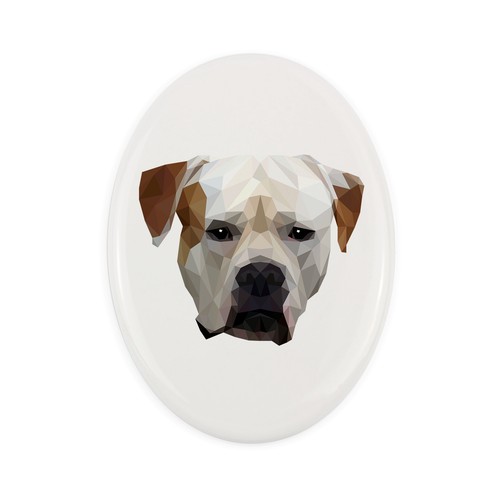 Bulldog americano piastrella