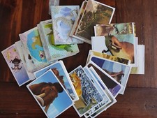 lotto figurine - PANINI - L'ERA GLACIALE 3 L'ALBA DEI DINOSAURI - solo figurine