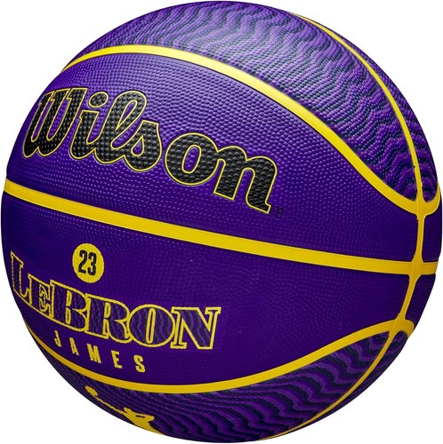 Wilson nba player icon - icon, la