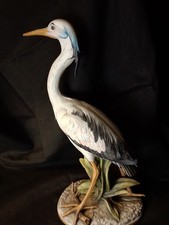 Grande e Raro  airone