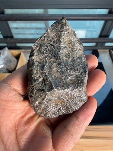 Esemplare meteorite in - esemplare,
