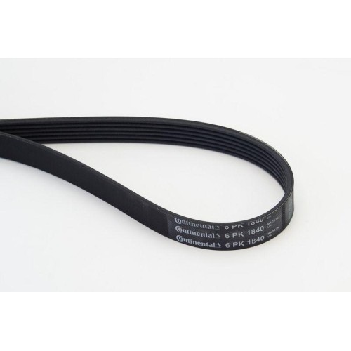 Cinghia poly continental - poly,