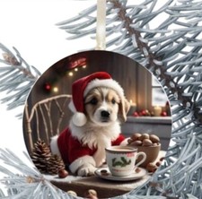 Jack Russell cucciolo cane