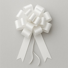 Coccarde bianche eleganti - coccarde,