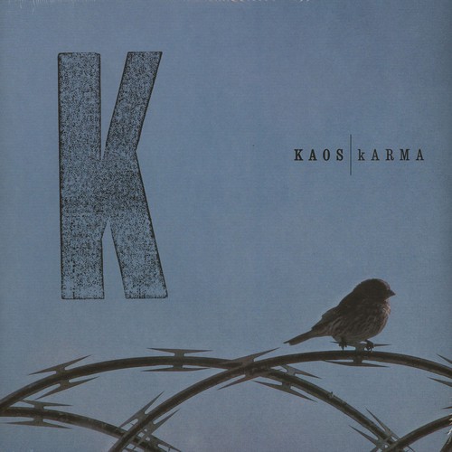 Kaos karma vinyl 2lp - (vinyl,