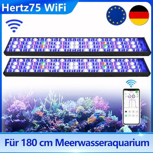 Popbloom led illuminazione - popbloom,