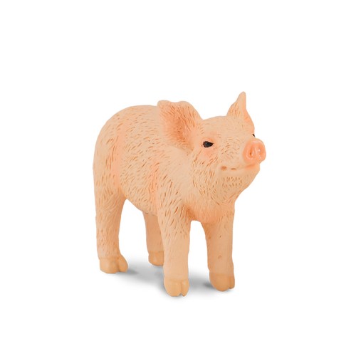 Collecta piglet smelling - collecta,