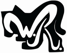 DYLAN DOG FANZINE - WR BUSTE pacco da 100 per Dyd Fanzine, ecc...