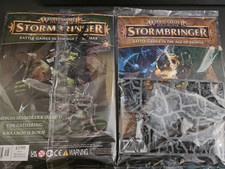 Warhammer Age Of Sigmar Stormbringer #79 & #80 Orruk Swampboss Skumdrekk