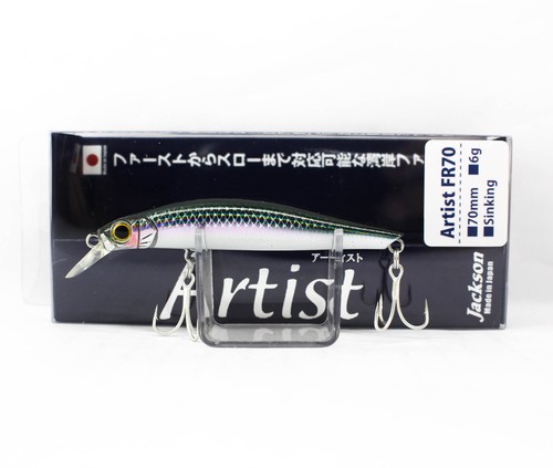Jackson artist 70 - jackson, fr