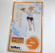 Hinata Shoyo supporto acrilico Haikyu!! TO THE TOP