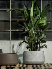 Vaso tondo in resina TITANO diam. 95 cm. vari colori vaso grande dimensioni