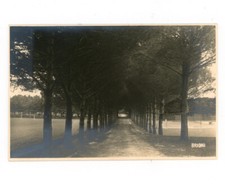 Brioni Pola Istria Italiana