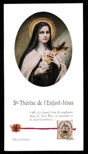 Teresa del bambin gesu - bambin, gesu'