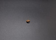 REPLACEMENT PART ORIGINAL