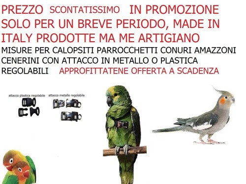 Pettorina elastica attacco