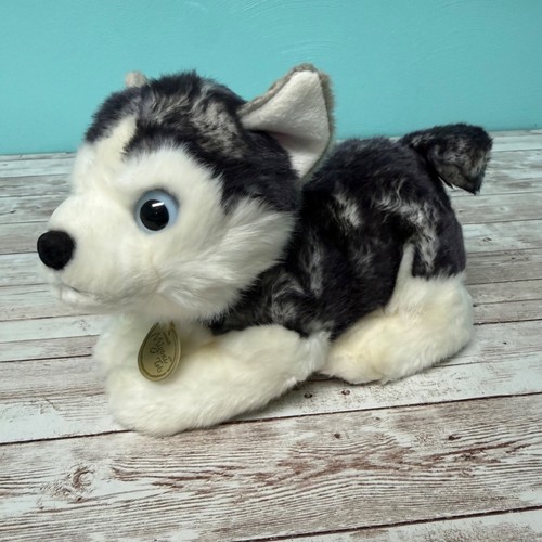 Aurora miyoni tots siberian - tots,