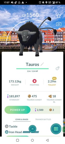Paldean tauros xxl combat - paldean,
