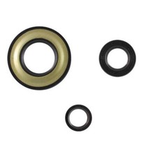 Engine oil series RMS Classic