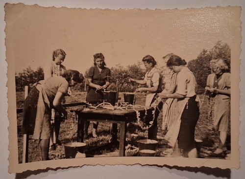 Foto originale raccolta - , donna