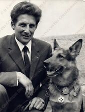 SIUSI Castelrotto Cane Pastore