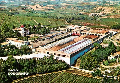 Cavas codorniu ripresa aerea - codorniu,