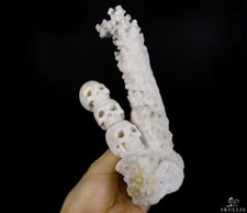 Scultura Teschio Cristallo