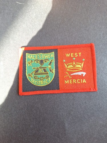 Scout badge district double - scout,