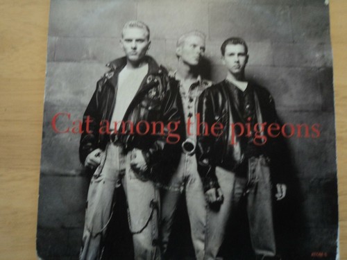 Bros cat among the - ‎–,
