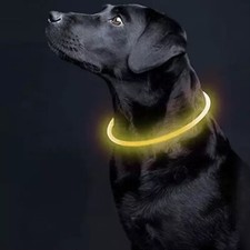 Collare Luminoso per Cane di Taglia Grande Piccola Regolabile Luce a LED Gatto