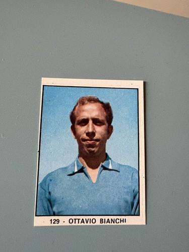 Panini campioni dello - panini,