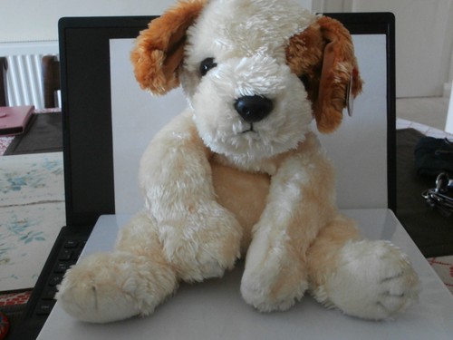 Beanie baby babies - ty,