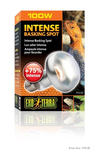 Exo terra intense basking - terra, spot