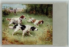 39808743 - insegna. Arricchisce Carl Epagneul Breton Jaeger M. Munk n. 293 cane da caccia