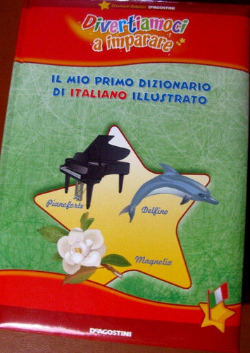 Mio primo dizionario di - il,